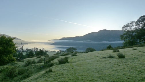View of trail route through grassy fields on a sunny morning overlooking the lake